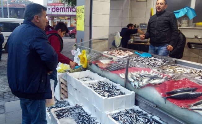 Karadeniz’de hamsi bolluğu Karadeniz’de hamsi bolluğu
