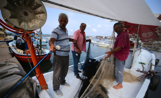 Balıkçılar Palamuttan Umutlu