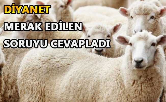 İŞTE VEKALETEN KURBAN KESİM BEDELİ İŞTE VEKALETEN KURBAN KESİM BEDELİ