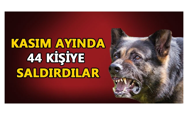 TARIM VE ORMAN MÜDÜRLÜĞÜ VERİLERİ AÇIKLADI TARIM VE ORMAN MÜDÜRLÜĞÜ VERİLERİ AÇIKLADI