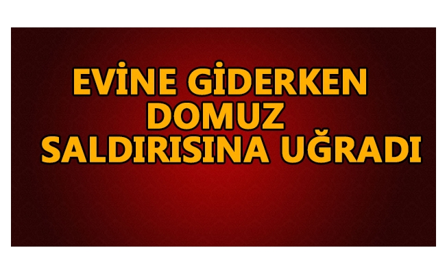 5 METRELİK UÇURUMA YUVARLANDI 5 METRELİK UÇURUMA YUVARLANDI