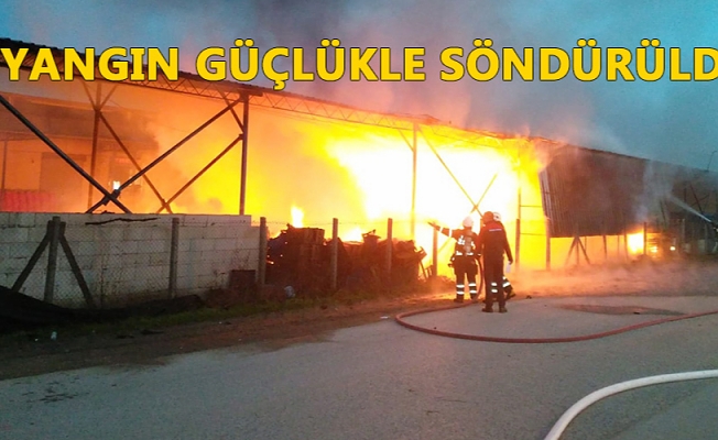 1 TON SOĞAN ZARAR GÖRDÜ 1 TON SOĞAN ZARAR GÖRDÜ