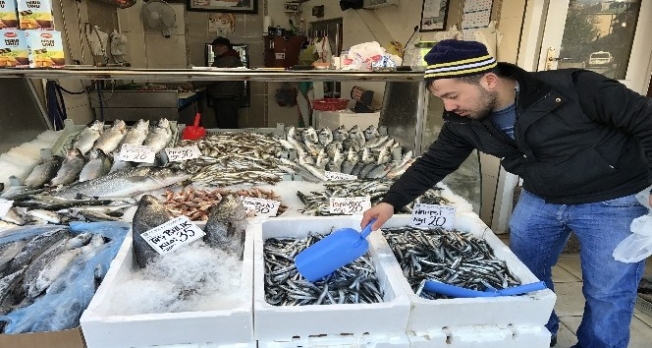 Hamsi 20 lirayı gördü Hamsi 20 lirayı gördü