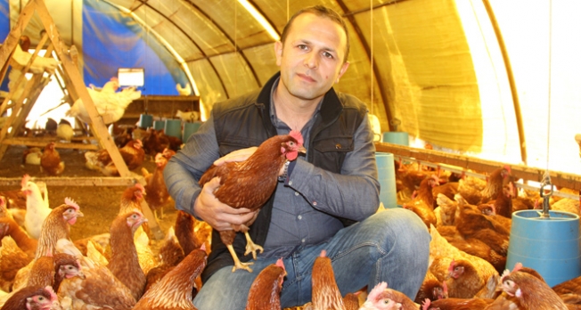 1 horoz 2 tavuk hayatını değiştirdi