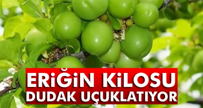 ERİĞİN KİLOSU DUDAK UÇUKLATIYOR