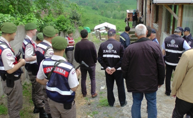 Büyükbaş hayvan ahırı jandarma eşliğinde boşaltıldı