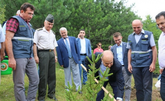 Düzce’de 15 Temmuz Demokrasi Şehitleri adına hatıra ormanı kuruldu