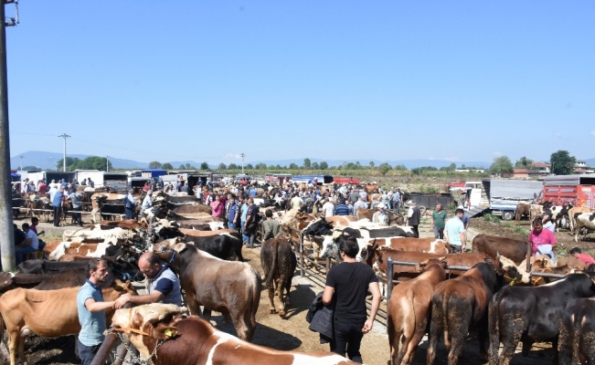 Kurban kesim ücretleri belirlendi