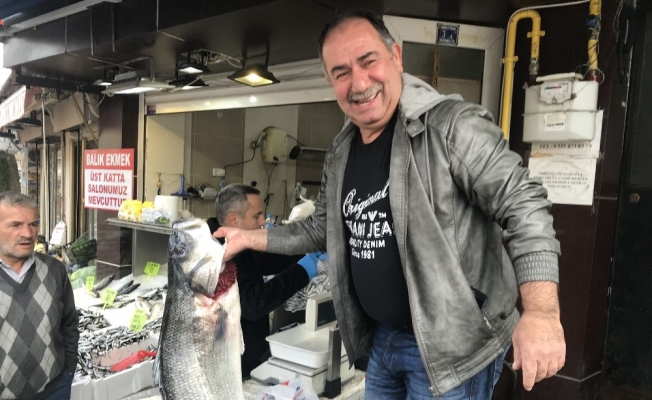 Karadeniz’den 25 kiloluk levrek çıktı