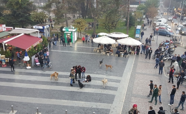 Uyuşturucuya dikkat çekmek için sokakta oynadılar