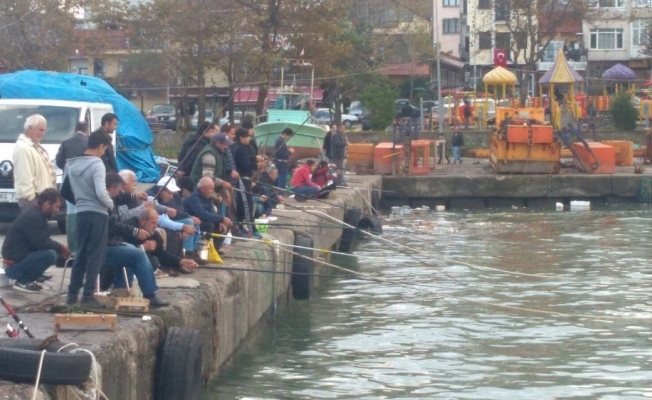 Akçakoca’da olta avcıları iş başında