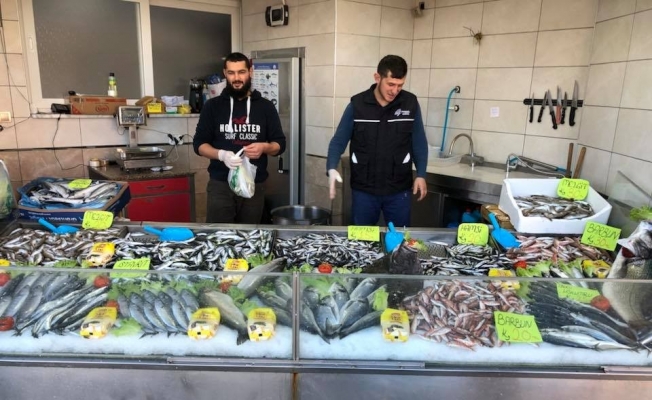 Balık fiyatları el yakıyor