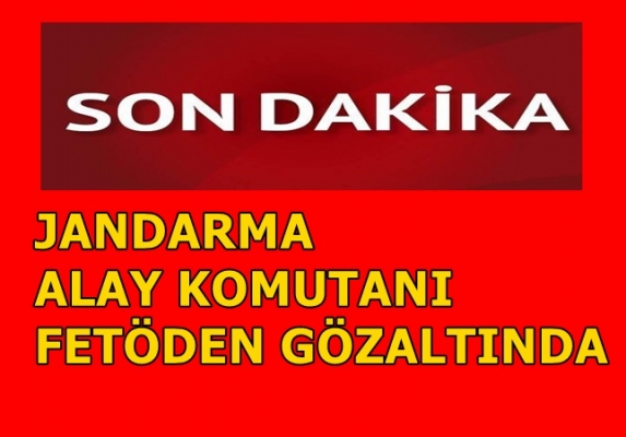 Düzce Jandarma Komutanı FETÖ’den gözaltına alındı