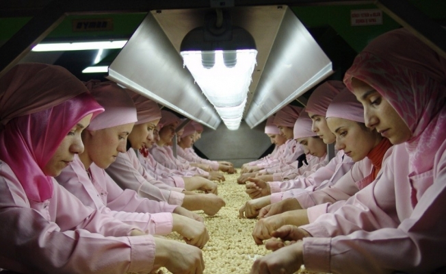 Düzce’den kasım ayında 2 bin 893 ton iç fındık ihracatı yapıldı