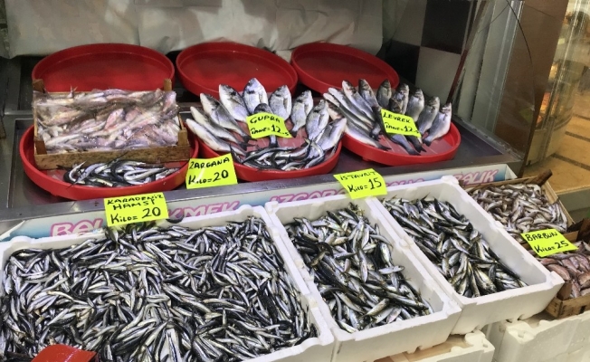 Hamsinin fiyatı 20 liraya çıktı