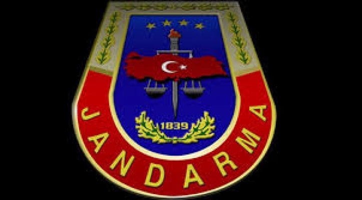 Jandarmadan kaçak silah operasyonu