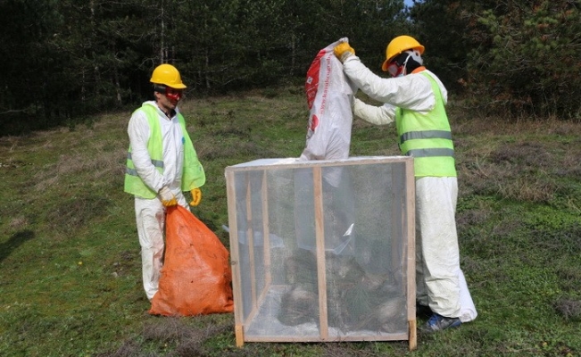 Yığılca’da orman zararlıları ile mücadele yapıldı