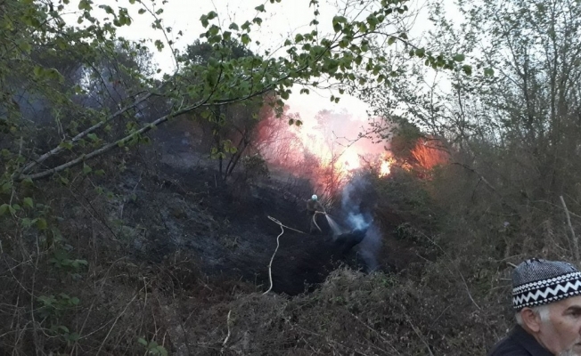 Akçakoca’da çıkan yangın büyümeden söndürüldü