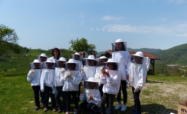 Çocuklara arı ve arıcılık anlatıldı