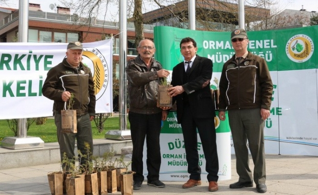 Düzce’de bir haftada vatandaşa 15 bin fidan dağıtıldı