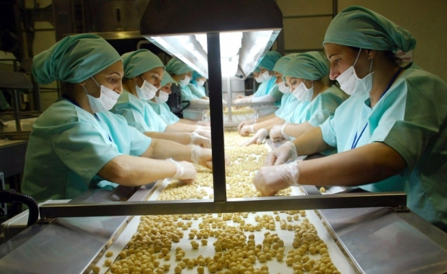 Düzce’den 705 ton iç fındık ihraç edildi