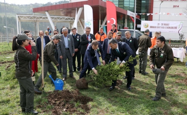 Hastanesi bahçesine fidan dikildi