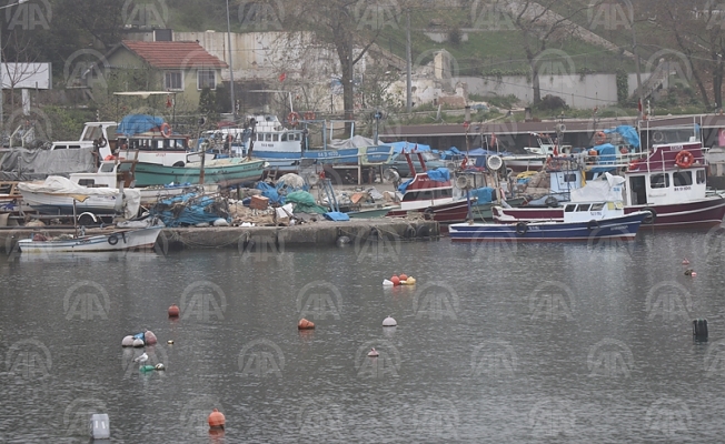 "Karadeniz artık Akdenizleşiyor"