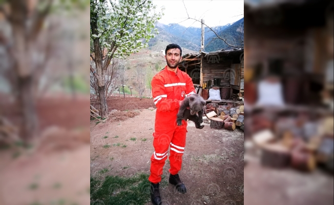 Yol kenarında buldukları yavru ayıyı sütle beslediler