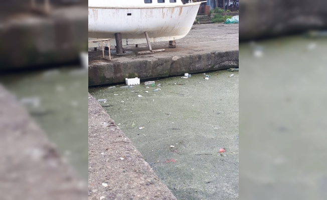 Akçakoca Balıkçı barınağında kirlilik