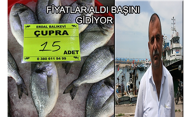 Balıkta fiyat pahalılığı sürüyor