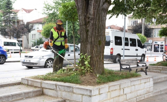 Düzce’de çevre düzenleme çalışmaları hızlandı