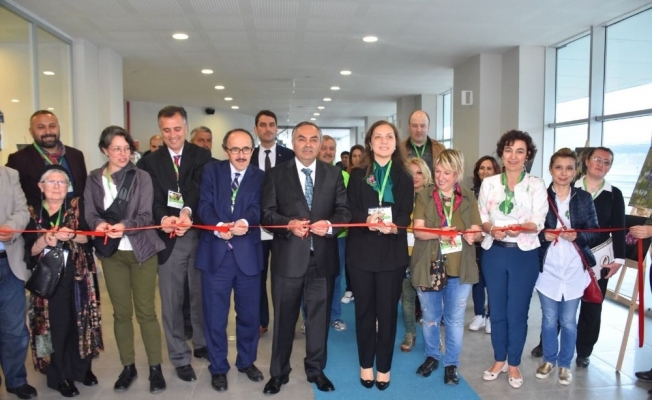 Düzcenin otları sağlık hazinesidir