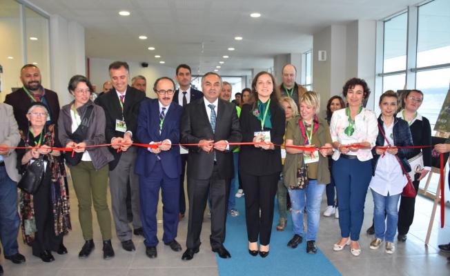 DÜZCENİN OTLARI SAĞLIK HAZİNESİDİR