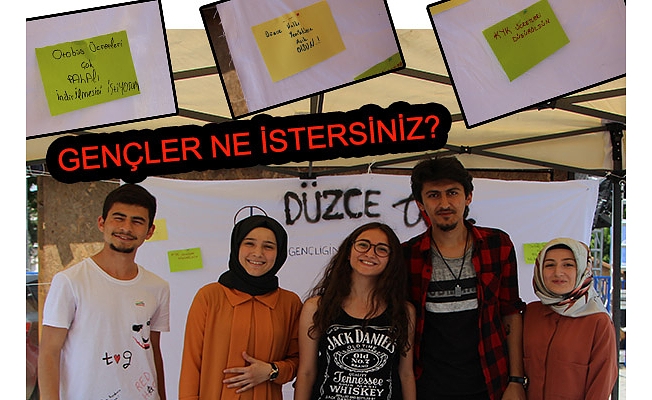 İstediklerini yazdılar