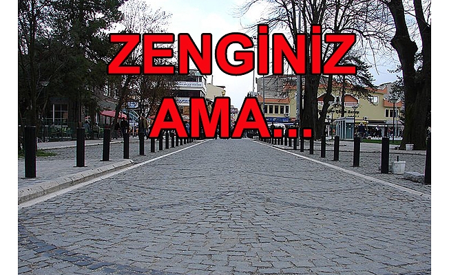 ZENGİN İLİZ