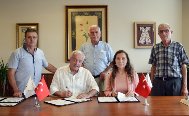 Düzceli arıcılar bilinçli üretime yönlendiriyor