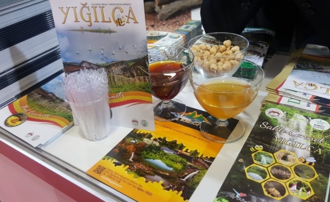 Yığılca fuarda tanıtılıyor