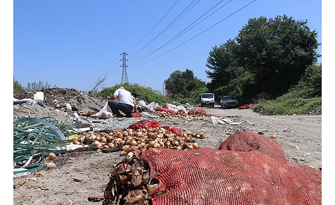 Melen Çayı'na dökülen çürük soğanları ayıkladılar