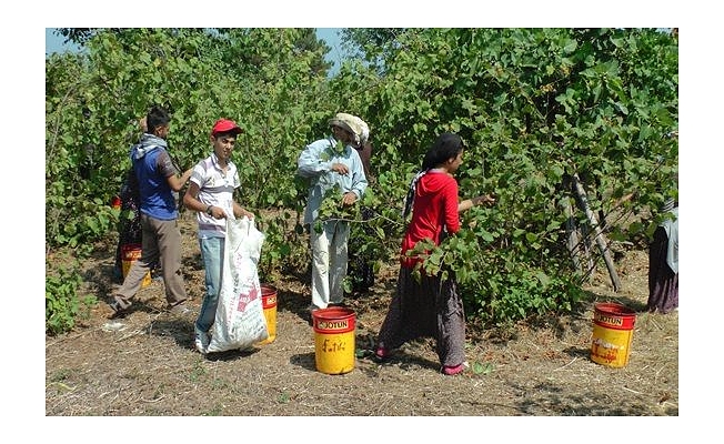 Mevsimlik işçilerin çocukları için kurslar açılacak