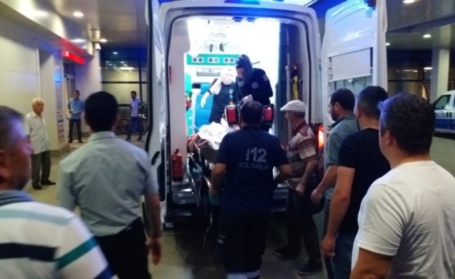 Ormanlık alanda çalışırken ateş açarak 3 kişiyi öldürdü, 3 kişiyi yaraladı