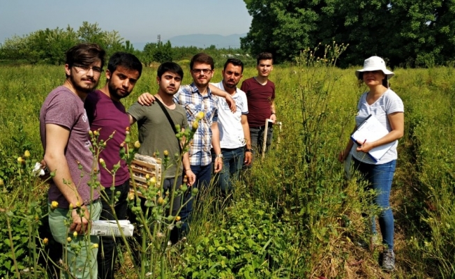 TÜBİTAK’tan 3 projeye destek