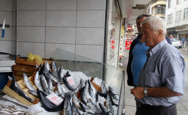 Balıkçılar Palamutla Güldü