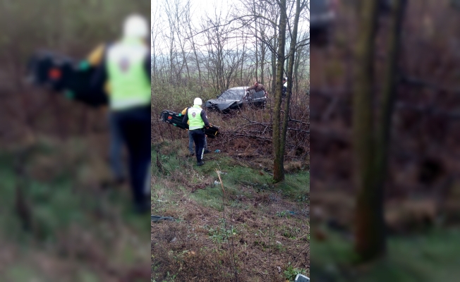 KAKİ, DÜZCE'DE KAZA GEÇİRDİ