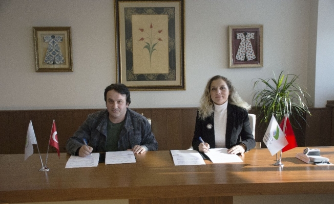 Defneden katma değerli ürün