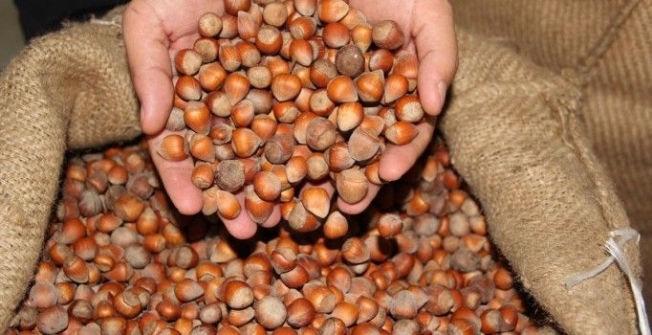 GERÇEK DEĞERİNİ BULACAK