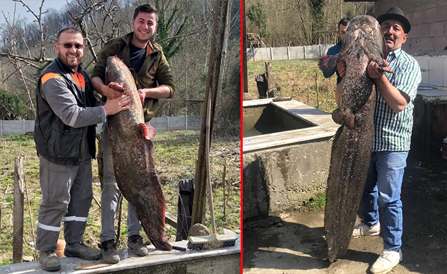 GÖRENLER ŞAŞKINA DÖNÜYOR