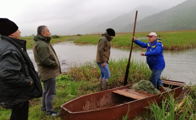 Kaçak avcıların en son eseri
