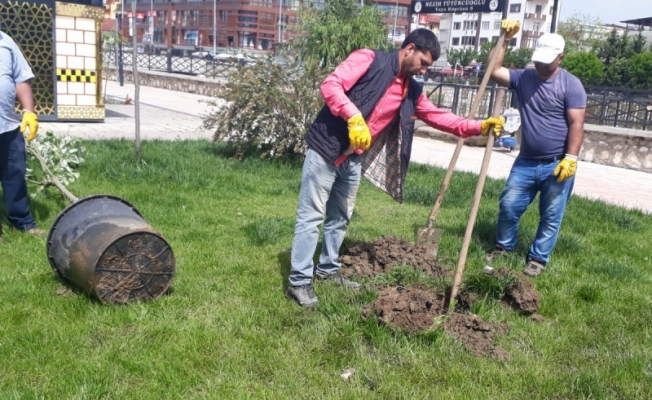 Doğu Türkistan parkı mis gibi kokacak Doğu Türkistan parkı mis gibi kokacak