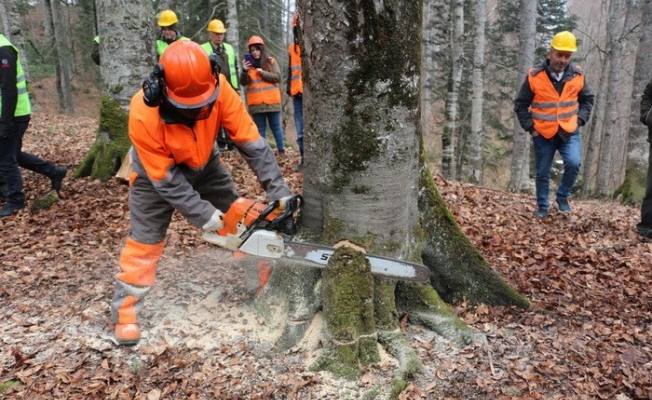 Düzce‘de ormanda tatbikat