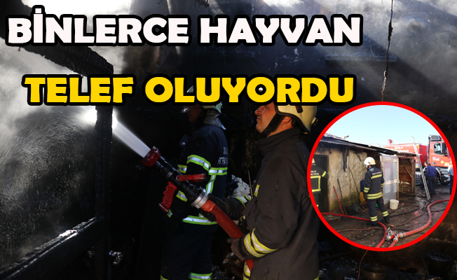 KÖYÜ AYAĞA KALDIRAN YANGIN